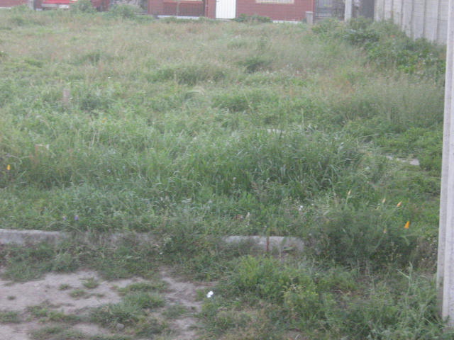 con areas verdes incluidas