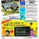 diario el llanquihue - publicidad engañosa