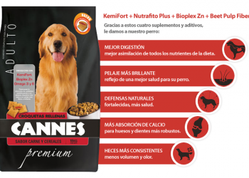 universidad de chile - ¿cómo certificaron este alimento que en realidad es una basura? universidad de chile - ¿cómo certificaron este alimento que en realidad es una basura?