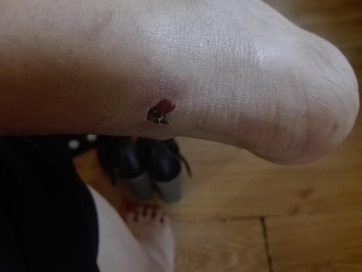 zapatos 16 horas