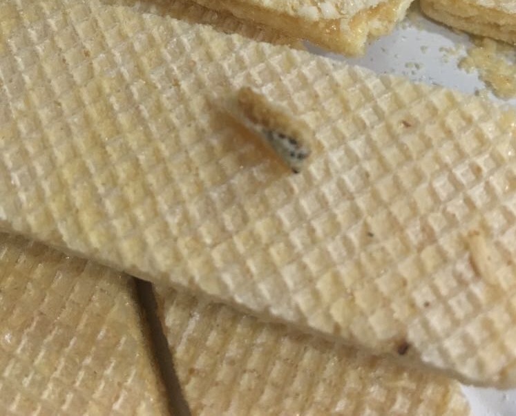 Nestlé Galletas En Mal Estado RECLAMOS.CL