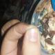 nestle savory - objeto duro en helsdo nestle savory - objeto duro en helsdo