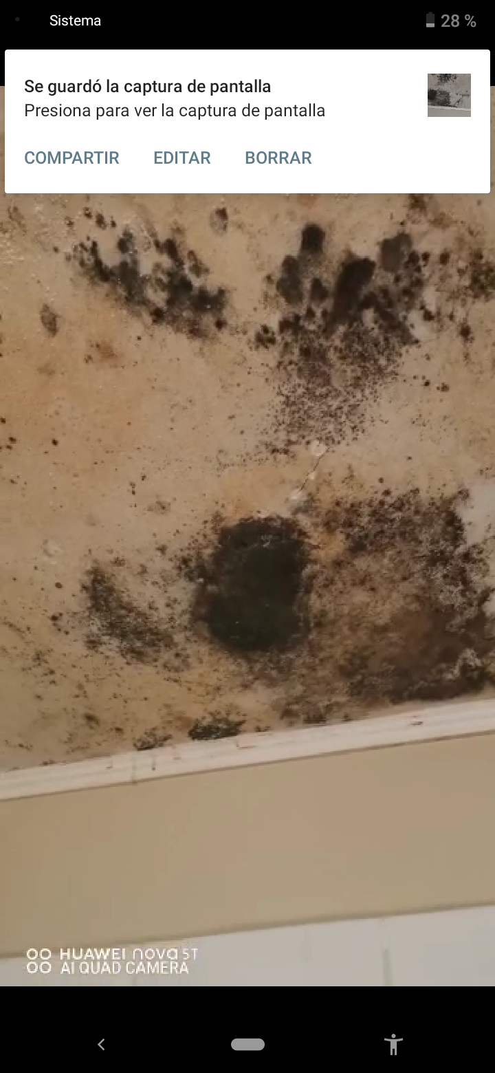 Pocuro - Filtración, en el baño desde el techo, a punto de desprenderse