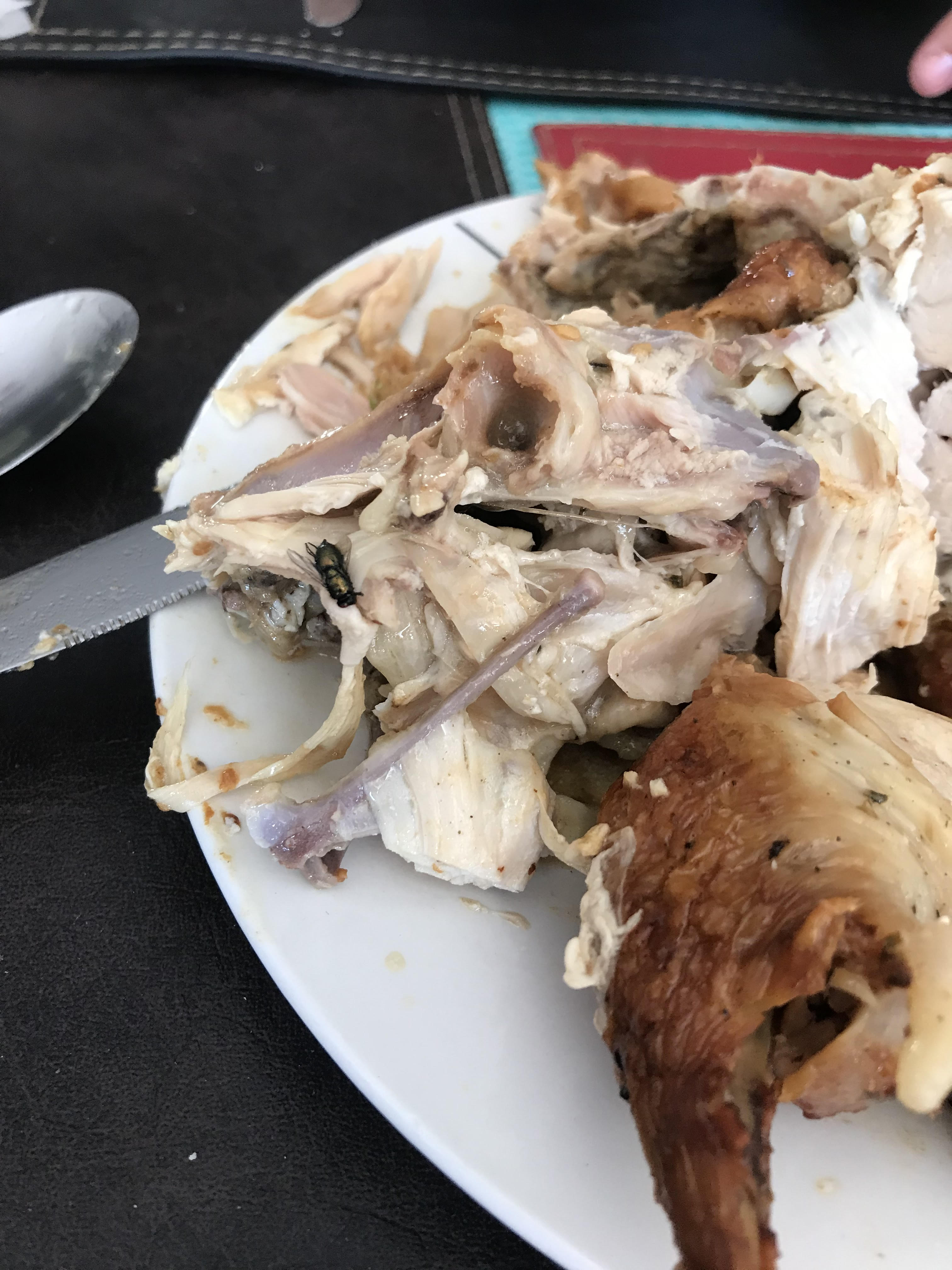 santa isabel - mosca en el pollo asado